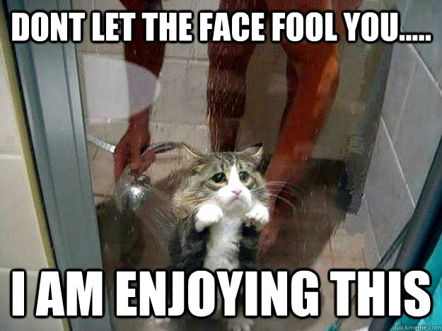 dont let the face fool you..... I am enjoying this  Shower kitty