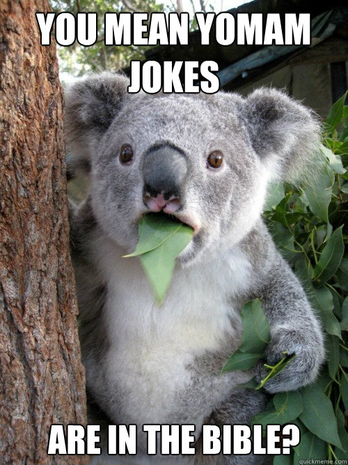 you mean yomam jokes  are in the bible?  Shocked Koala