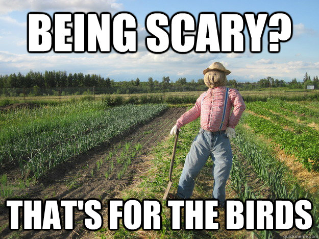 Being Scary? That's for the birds - Being Scary? That's for the birds  Scarecrow