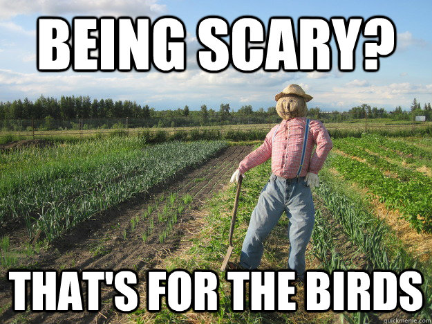 Being Scary? That's for the birds  Scarecrow