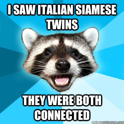 I saw italian siamese twins they were both connected  Lame Pun Raccoon