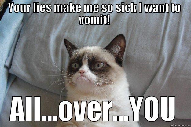 YOUR LIES MAKE ME SO SICK I WANT TO VOMIT! ALL...OVER...YOU Grumpy Cat