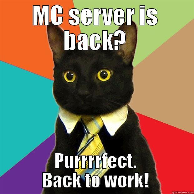 MC SERVER IS BACK? PURRRRFECT. BACK TO WORK! Business Cat
