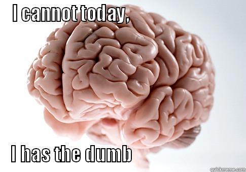 I CANNOT TODAY,                                             I HAS THE DUMB                                Scumbag Brain