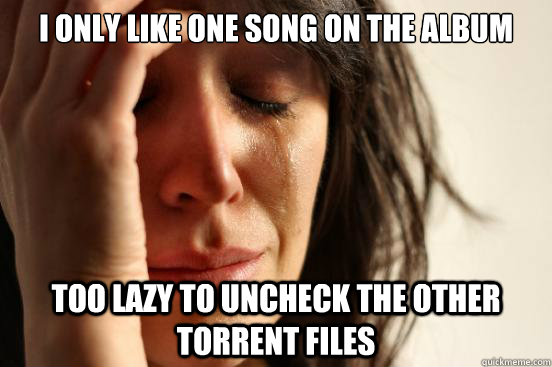 I only like one song on the album Too lazy to uncheck the other torrent files  First World Problems