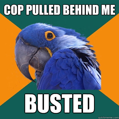 Cop pulled behind me busted  Paranoid Parrot