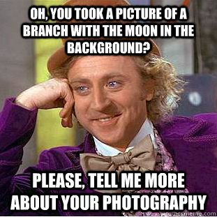 Oh, you took a picture of a branch with the moon in the background? Please, tell me more about your photography  Creepy Wonka