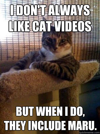 I don't always like cat videos but when I do, they include Maru.  The Most Interesting Cat in the World