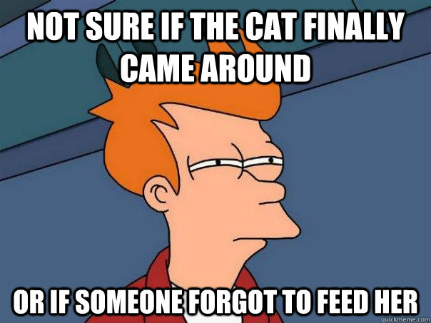Not sure if the cat finally came around or if someone forgot to feed her  Futurama Fry