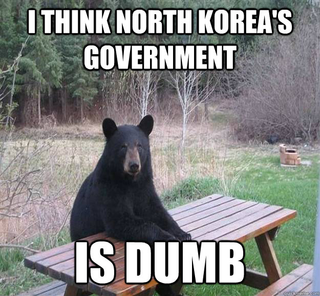 i THINK NORTH KOREA'S GOVERNMENT IS DUMB  