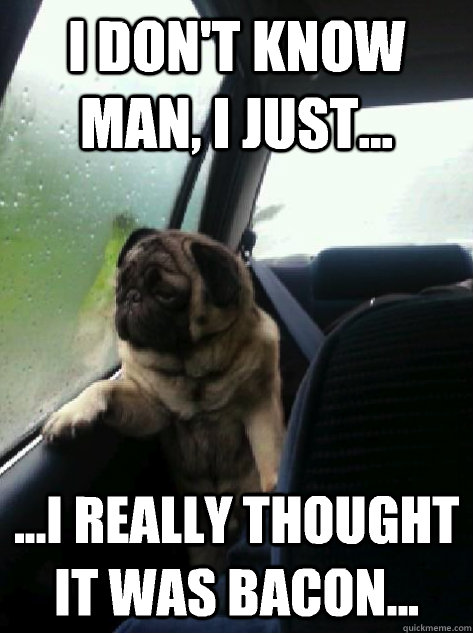I don't know man, I just... ...i really thought it was bacon...  Introspective Pug