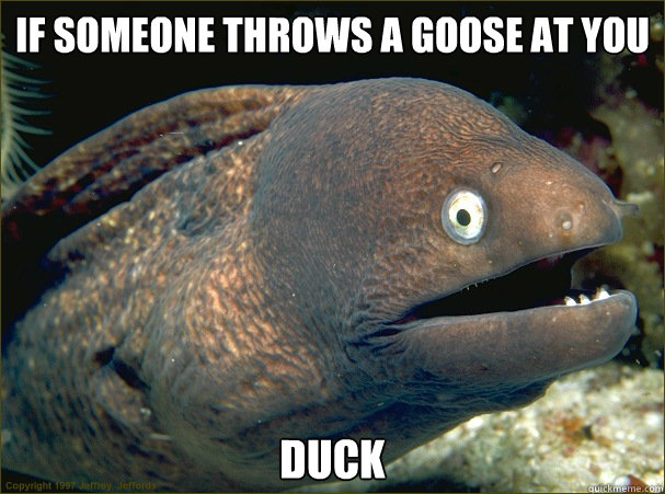 If someone throws a goose at you Duck  Bad Joke Eel