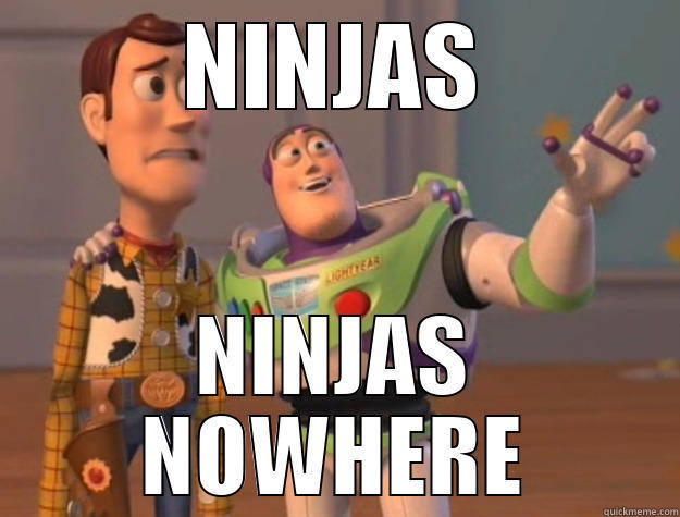 NINJAS NINJAS NOWHERE Toy Story