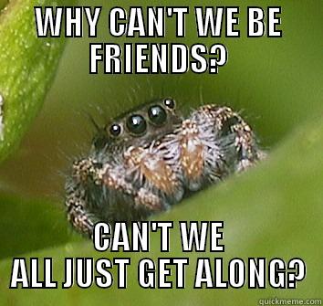 WHY CAN'T WE BE FRIENDS? CAN'T WE ALL JUST GET ALONG? Misunderstood Spider