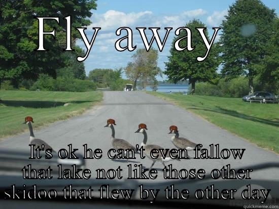 Uhhhhh uhhhh uhhhh  - FLY AWAY  IT'S OK HE CAN'T EVEN FALLOW THAT LAKE NOT LIKE THOSE OTHER SKIDOO THAT FLEW BY THE OTHER DAY Scumbag Geese