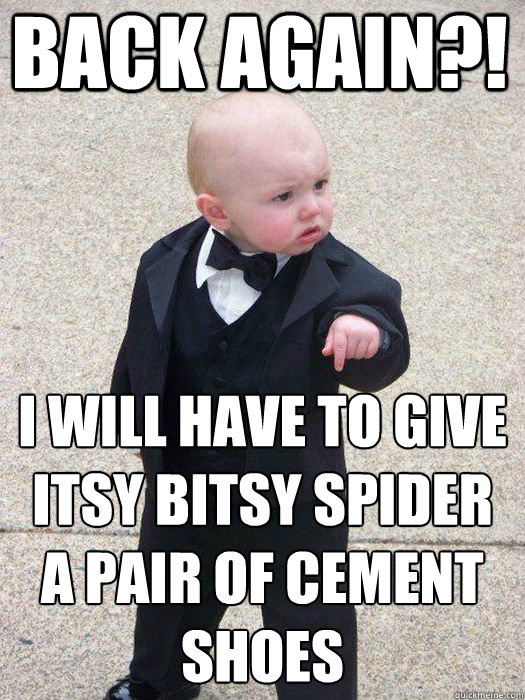 back again?! I will have to give itsy bitsy spider a pair of cement shoes  - back again?! I will have to give itsy bitsy spider a pair of cement shoes   Baby Godfather