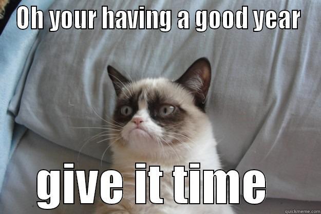 OH YOUR HAVING A GOOD YEAR GIVE IT TIME  Grumpy Cat