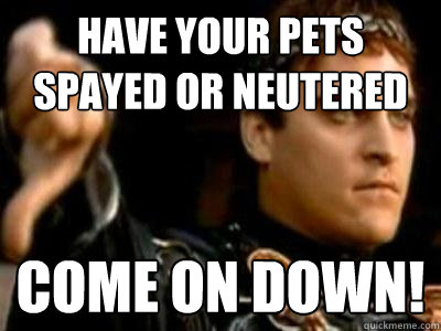 have your pets spayed or neutered come on down!  Downvoting Roman
