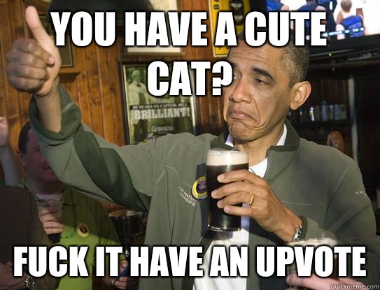 You have a cute cat? Fuck it have an upvote  Upvoting Obama