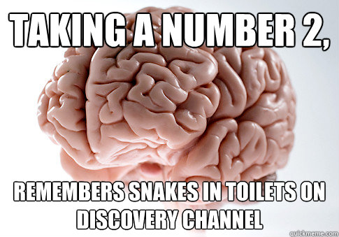 Taking a number 2, remembers snakes in toilets on discovery channel  Scumbag Brain