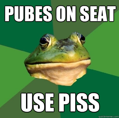 Pubes on seat use piss   Foul Bachelor Frog