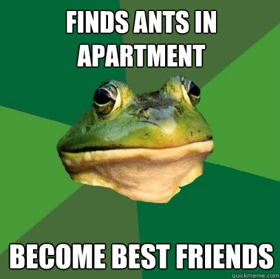Finds ants in apartment become best friends  Foul Bachelor Frog