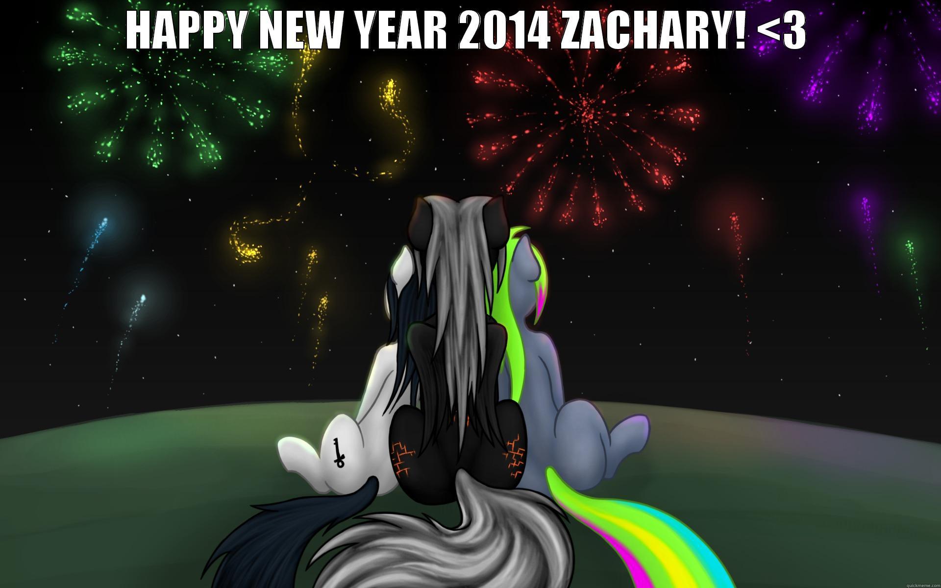 HAPPY NEW YEAR 2014 ZACHARY! <3  Misc