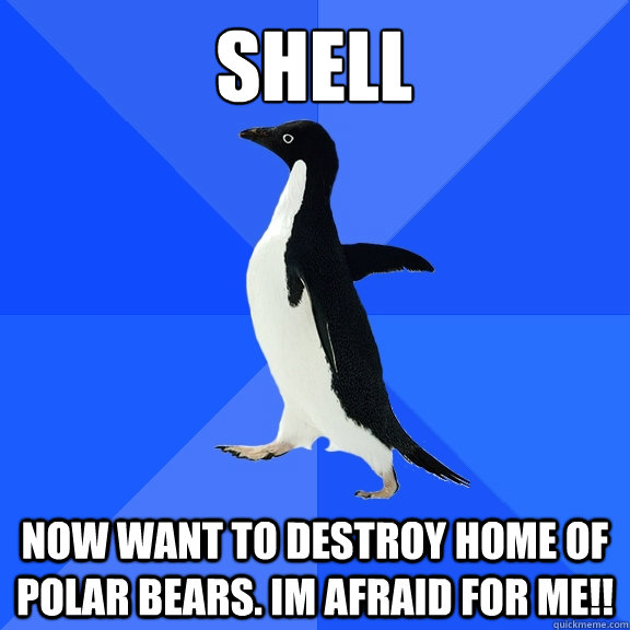 Shell Now Want to destroy home of polar bears. Im afraid for me!! - Shell Now Want to destroy home of polar bears. Im afraid for me!!  Socially Awkward Penguin