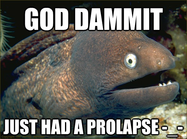 god dammit just had a prolapse -_-  Bad Joke Eel