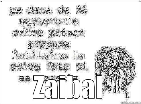  ZAIBAL Misc