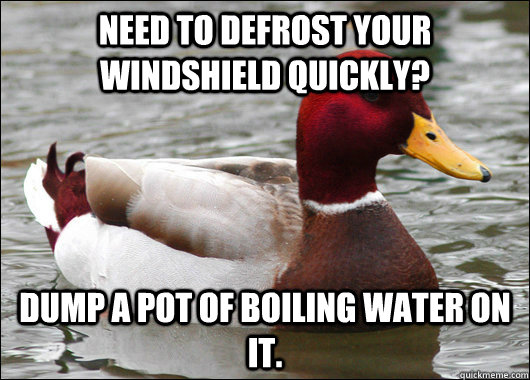 Need to defrost your windshield quickly? Dump a pot of boiling water on it.  Malicious Advice Mallard