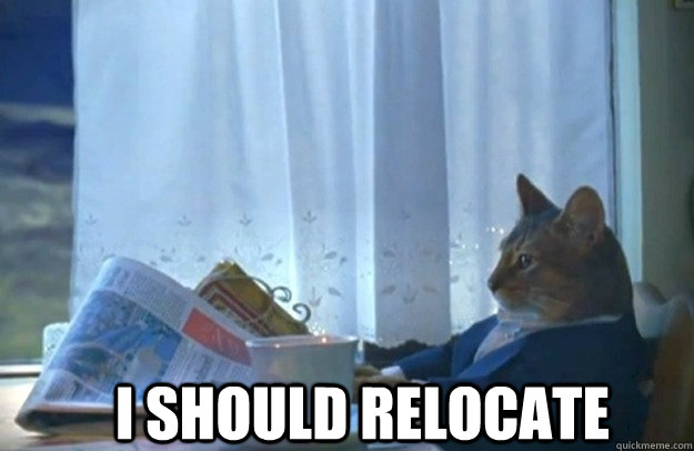I should relocate  Sophisticated Cat