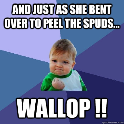 And just as she bent over to peel the spuds... WALLOP !!  Success Kid