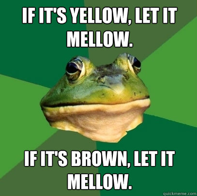 If it's yellow, let it mellow. If it's brown, let it mellow.  Foul Bachelor Frog
