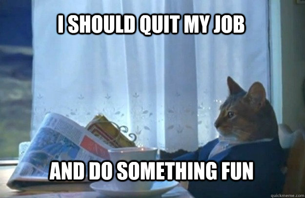 I should quit my job and do something fun  Sophisticated Cat
