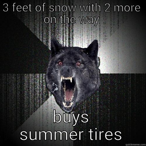 3 FEET OF SNOW WITH 2 MORE ON THE WAY BUYS SUMMER TIRES Insanity Wolf