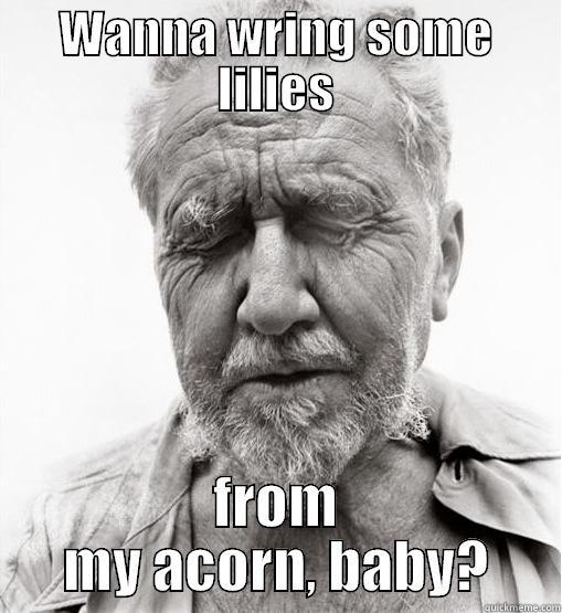 Ezra Pound - WANNA WRING SOME LILIES FROM MY ACORN, BABY? Misc