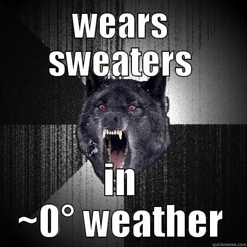 UIUC weather - WEARS SWEATERS IN ~0° WEATHER Insanity Wolf