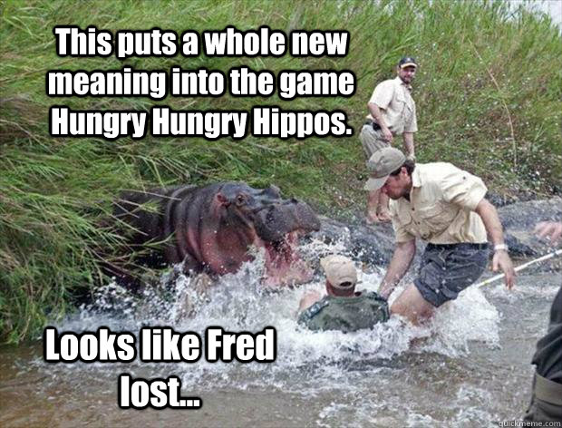 This puts a whole new meaning into the game Hungry Hungry Hippos. Looks like Fred lost...  