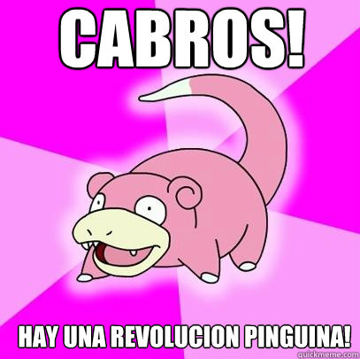CABROS! hay una revolucion pinguina!  Slowpoke