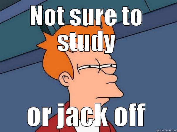 læra og læra - NOT SURE TO STUDY OR JACK OFF Futurama Fry