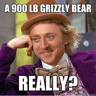 A 900 lb Grizzly Bear Really?  Creepy Wonka