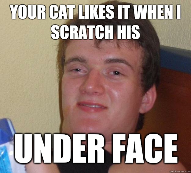 Your cat likes it when I scratch his Under face  10 Guy