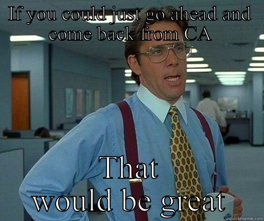 IF YOU COULD JUST GO AHEAD AND COME BACK FROM CA THAT WOULD BE GREAT Office Space Lumbergh