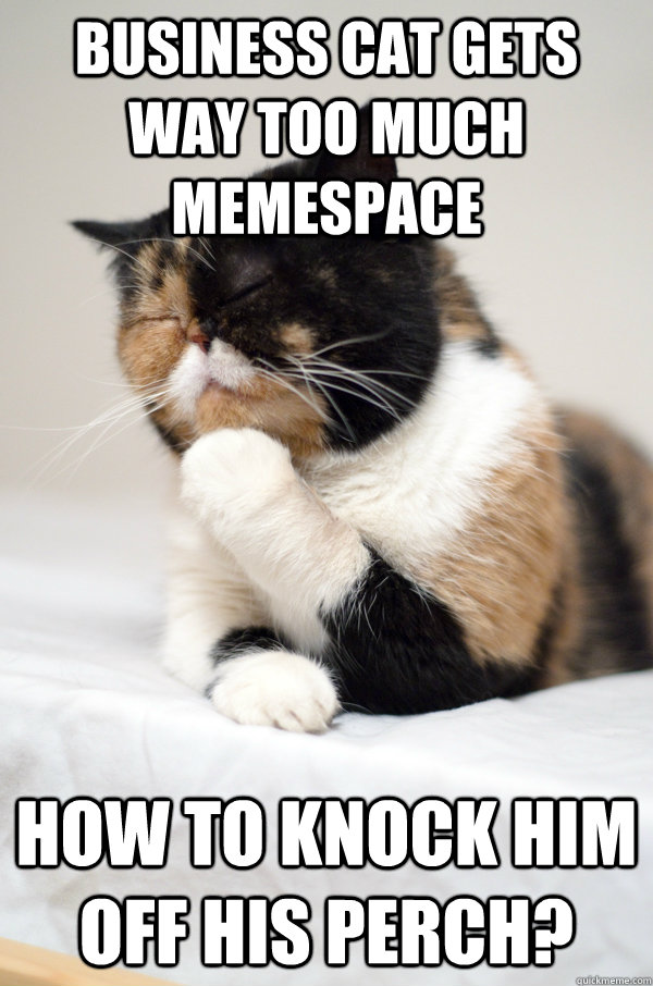 Business Cat gets way too much memespace how to knock him off his perch? - Business Cat gets way too much memespace how to knock him off his perch?  Contemplative Cat
