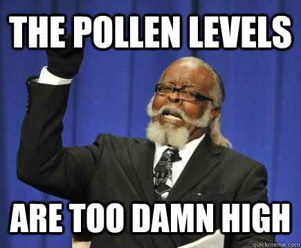 the pollen levels are too damn high  Too Damn High