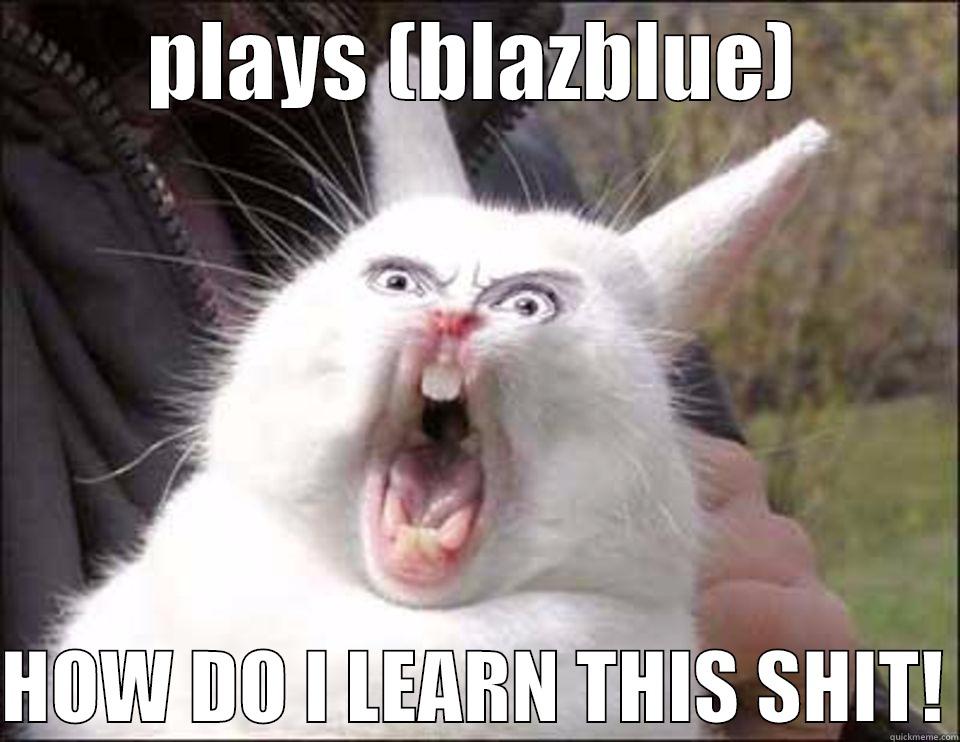 PLAYS (BLAZBLUE)  HOW DO I LEARN THIS SHIT! Misc