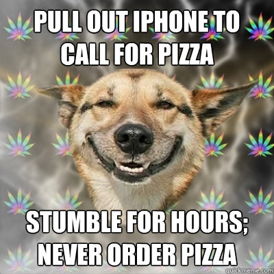 Pull out iPhone to call for pizza Stumble for hours; never order pizza  Stoner Dog