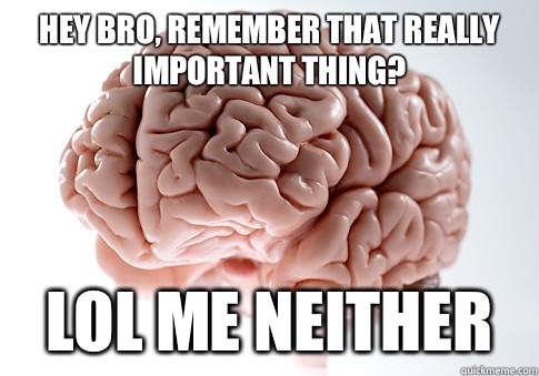 Hey bro, remember that really important thing? LOL me neither  Scumbag Brain