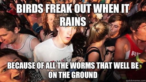 Birds freak out when it rains Because of all the worms that well be on the ground  Sudden Clarity Clarence